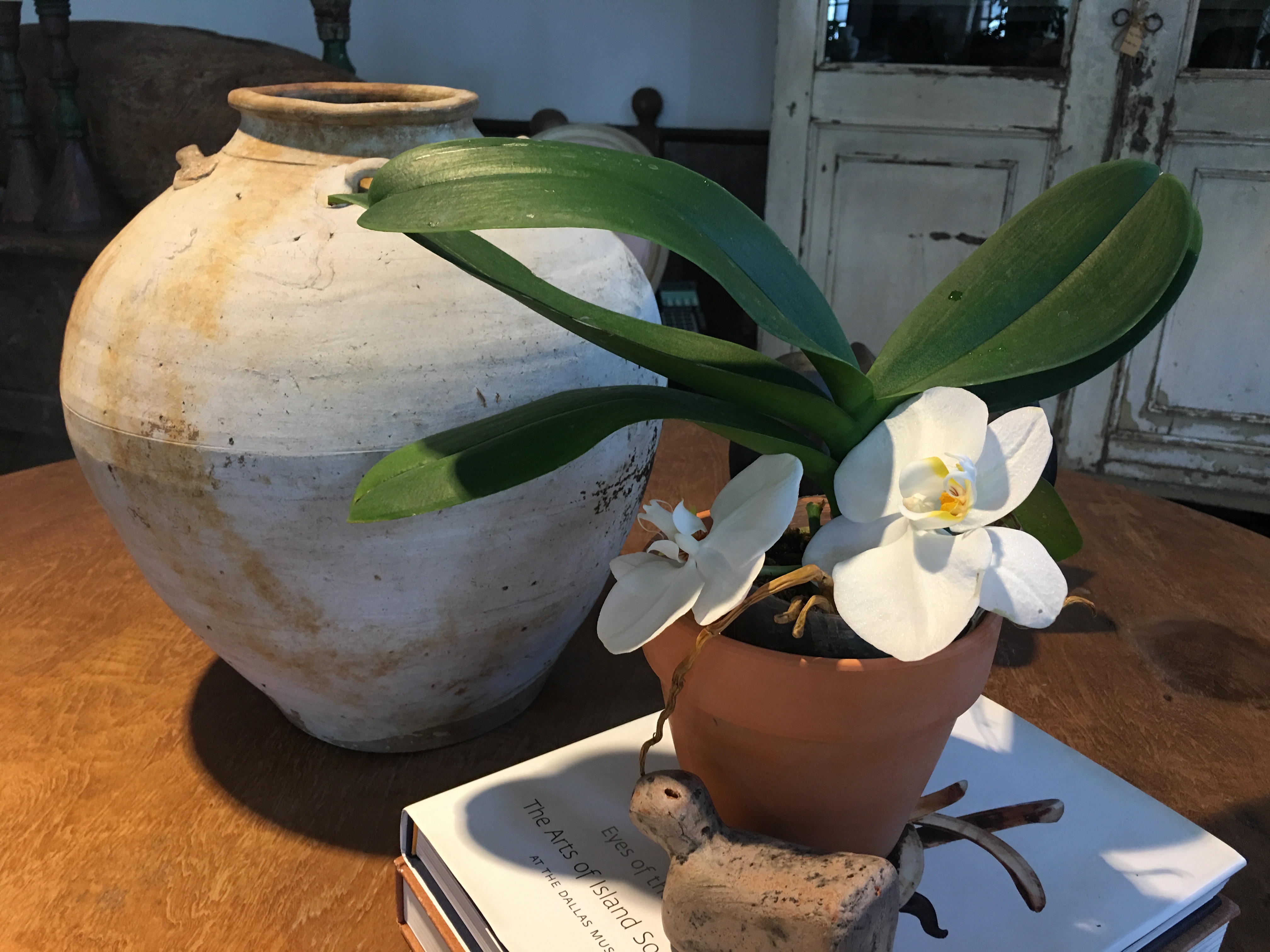 灰釉大陶甕